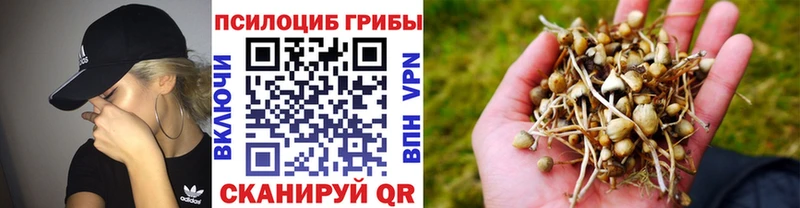 Псилоцибиновые грибы ЛСД  купить   Лагань 